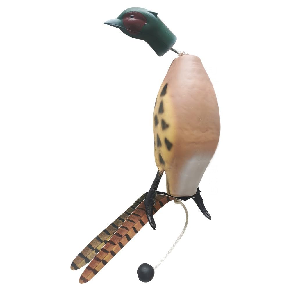 Mannequin d'entraînement pour chien Garvee Dokken Dead Fowl Trainer, réaliste, durable et en matériau souple, jouet d'extérieur, 26 x 15 x 7 cm, pour l'entraînement de la chasse.