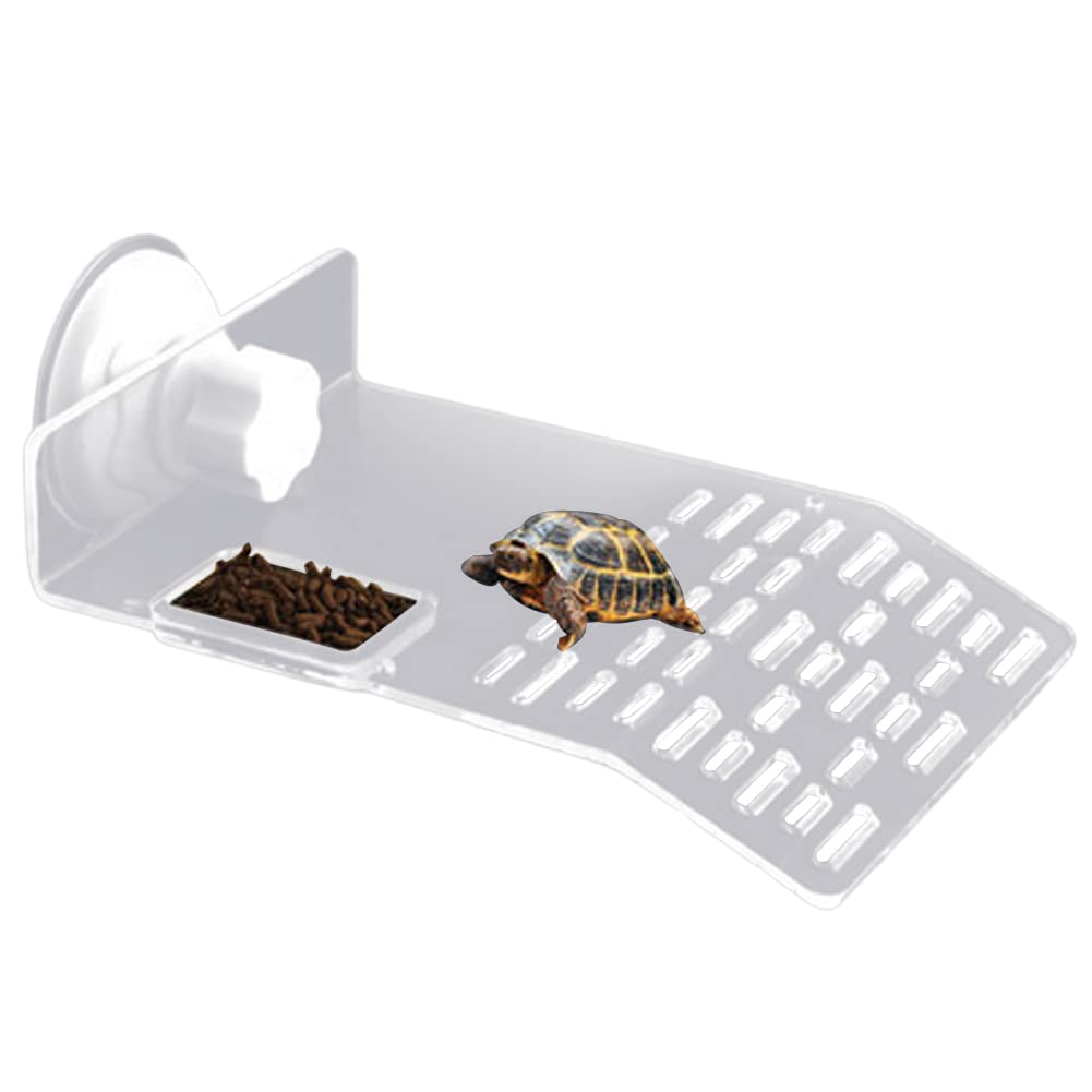 Plateforme de bronzage pour grande tortue Garvee avec 2 ventouses pour aquarium, blanche