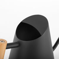 Arrosoir Garvee en acier inoxydable 900 ml avec long bec et poignée en bois pour plantes d'intérieur, noir, anti-goutte, antirouille