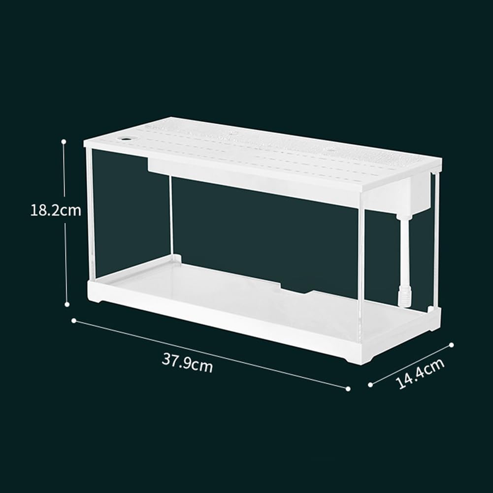 Mini aquarium Garvee en acrylique transparent pour poissons rouges, avec éclairage LED, filtre intégré, pompe silencieuse et cascade d'oxygénation. Format compact.