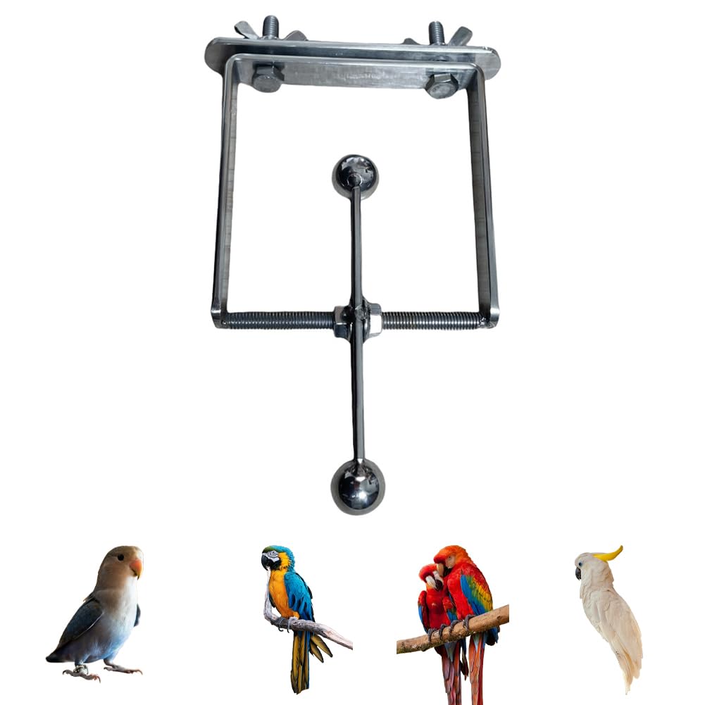 GARVEE Jouet à mâcher pour perroquets, perchoir suspendu en acier inoxydable, accessoire de cage interactif, tailles moyenne et grande.