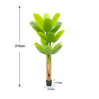 Bananier artificiel Garvee à grandes feuilles, écorce naturelle, pot robuste pour salon et bureau, 1,9 à 2,1 mètres, vert