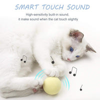GARVEE Ensemble de 3 jouets pour chat, 50 mm, balles interactives avec sons d'animaux, silicone EVA, jaune, bleu, rose