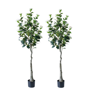 Ensemble de 2 camélias artificiels Garvee de 150 cm, feuilles et fleurs réalistes, entretien facile, pour salon et bureau, couleur ivoire.