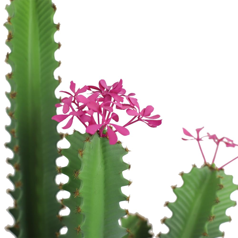 Cactus artificiel Garvee de 90 cm (3 pieds), design réaliste, en plastique vert, pour une utilisation intérieure et extérieure.