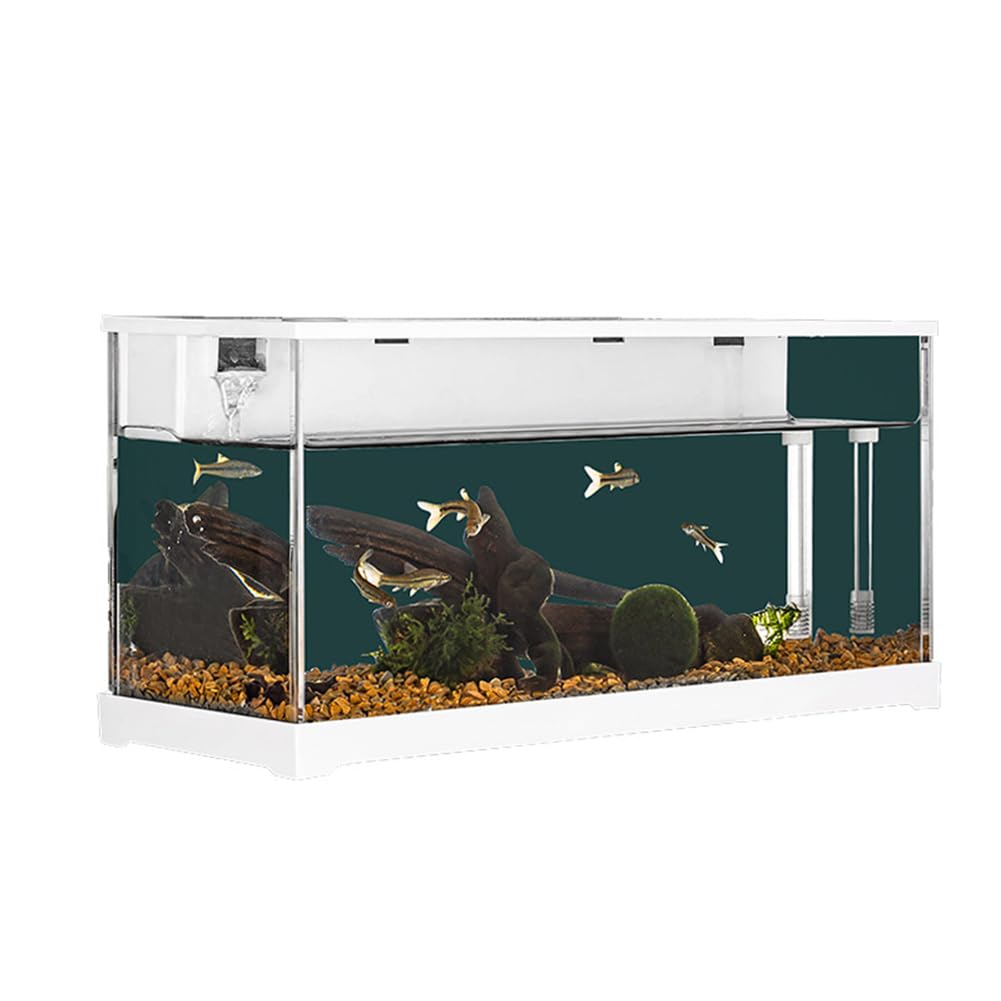 Mini aquarium Garvee en acrylique transparent pour poissons rouges, avec éclairage LED, filtre intégré, pompe silencieuse et cascade d'oxygénation. Format compact.