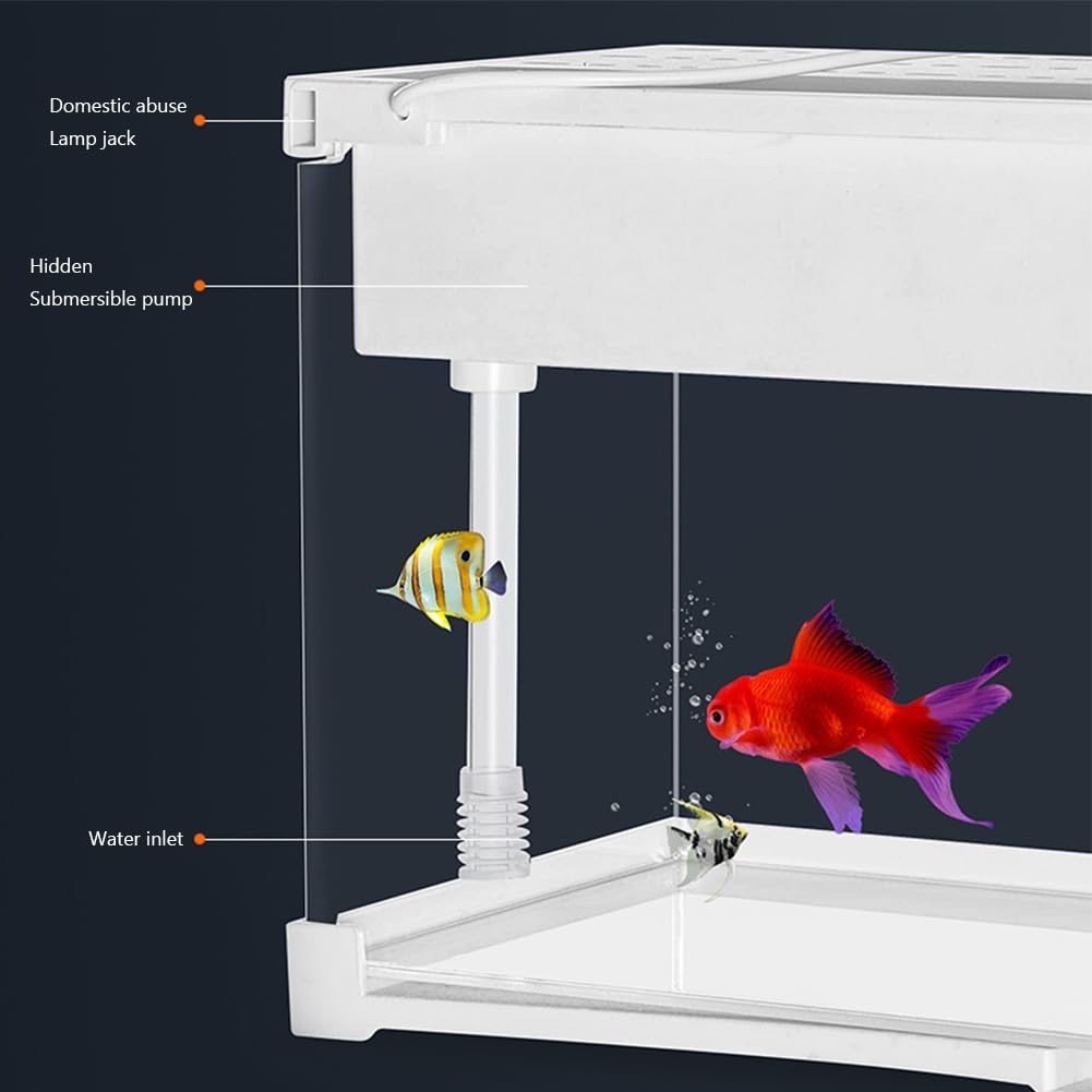 Mini aquarium Garvee en acrylique transparent pour poissons rouges, avec éclairage LED, filtre intégré, pompe silencieuse et cascade d'oxygénation. Format compact.