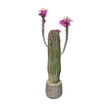 Cactus artificiel Garvee de 109 cm (43 pouces), réaliste et facile d'entretien, en polyéthylène, pot blanc, pour la maison et le bureau.