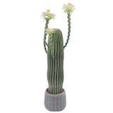 Garvee Cactus Artificiel Grand 43" - Pot Blanc, Décor Intérieur Extérieur, PE Durable, Sans Entretien, Vert Réaliste - 