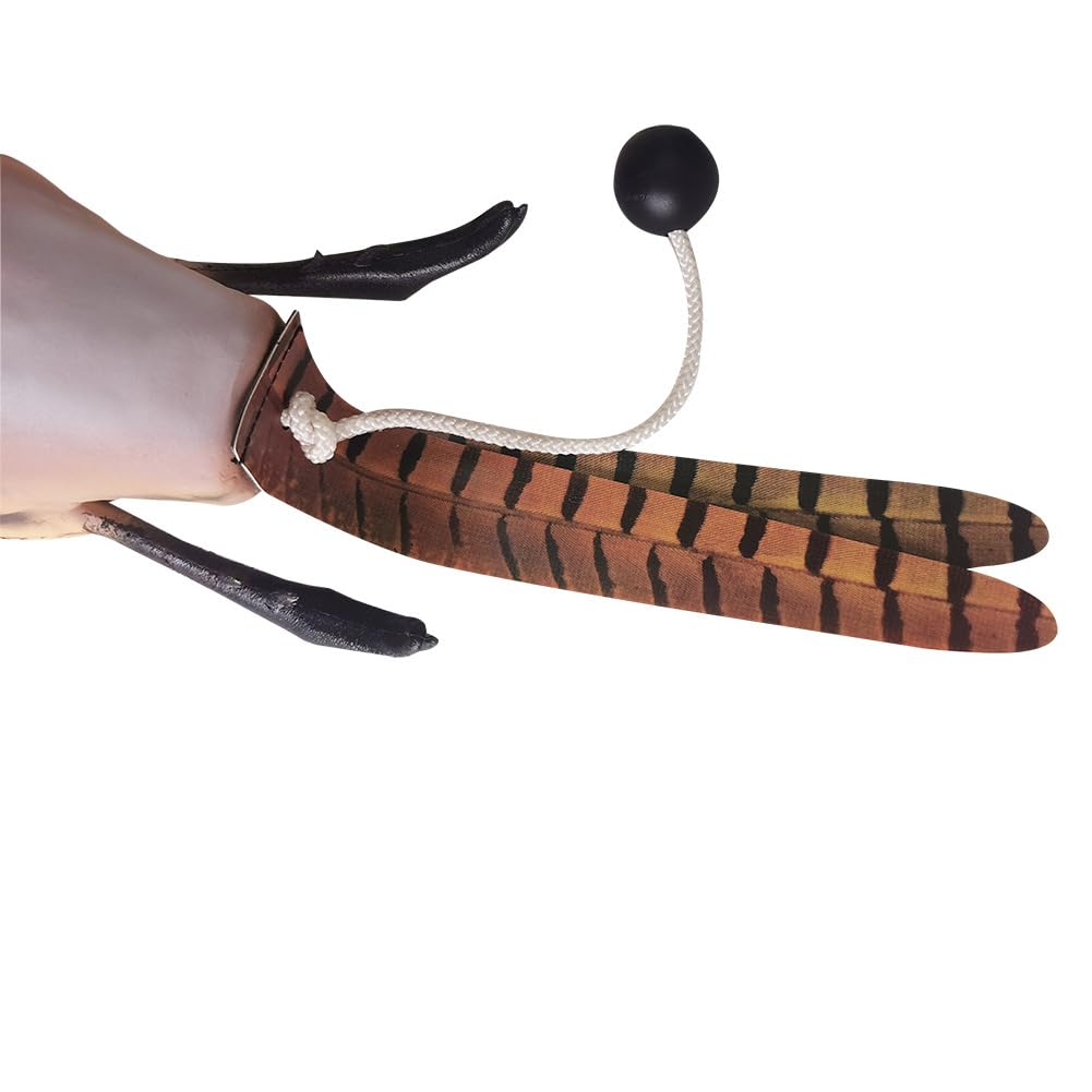 Mannequin d'entraînement pour chien Garvee Dokken Dead Fowl Trainer, réaliste, durable et en matériau souple, jouet d'extérieur, 26 x 15 x 7 cm, pour l'entraînement de la chasse.