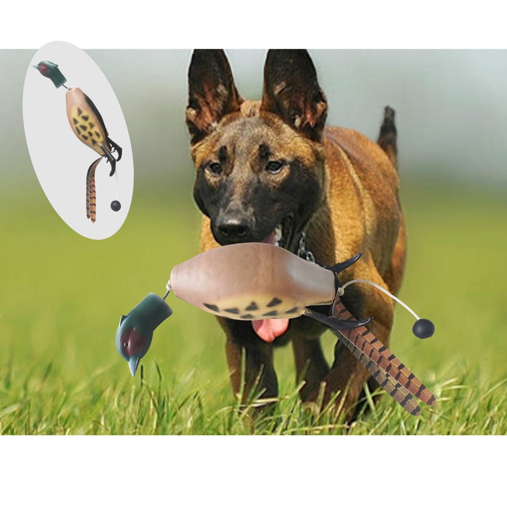 Mannequin d'entraînement pour chien Garvee Dokken Dead Fowl Trainer, réaliste, durable et en matériau souple, jouet d'extérieur, 26 x 15 x 7 cm, pour l'entraînement de la chasse.