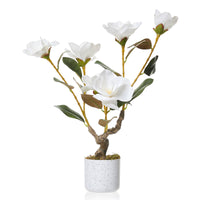Magnolia artificiel Garvee de 61 cm avec pot blanc moucheté pour salon et bureau, facile d'entretien, durable, fleurs de magnolia réalistes