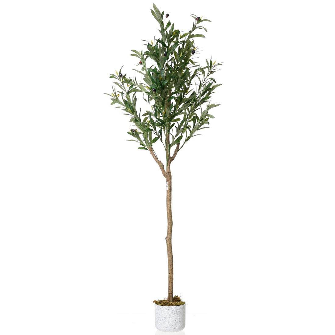 Olivier artificiel Garvee de 1,5 m de haut avec 22 fruits, en polyester, pot en ciment, pour la décoration de la maison et du bureau, vert