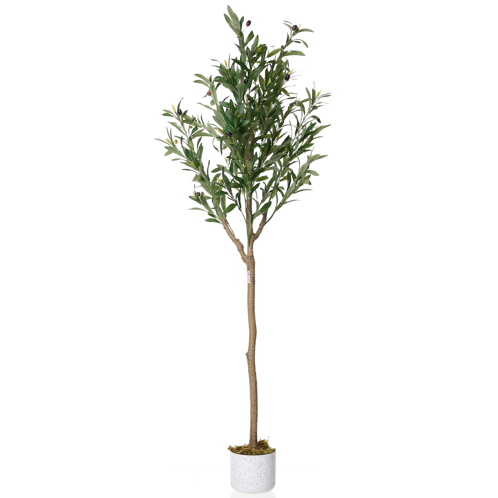 Olivier artificiel Garvee de 1,5 m de haut avec 22 fruits, en polyester, pot en ciment, pour la décoration de la maison et du bureau, vert