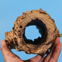 Grotte de ponte naturelle en tronc d'arbre, idéale pour les lézards, les tortues et les crevettes.