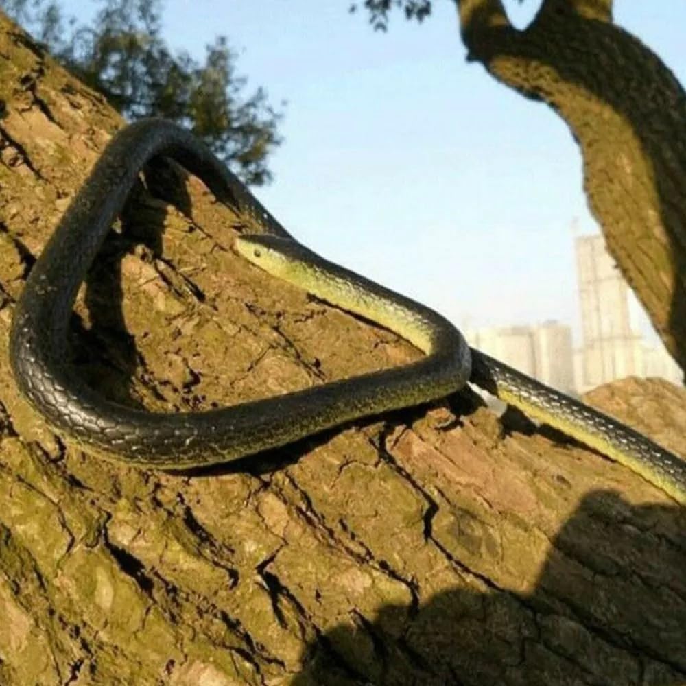 Garvee Serpent en caoutchouc réaliste, 132 cm, souple, pour protéger le jardin, Halloween et les fêtes, noir et jaune