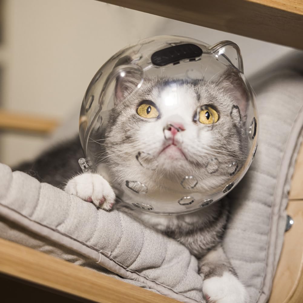 Casque transparent pour chat GARVEE avec fonction de protection, respirant, léger en PET pour la convalescence et les soins, transparent et confortable