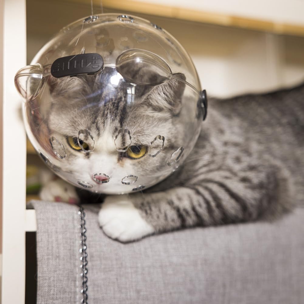 Casque transparent pour chat GARVEE avec fonction de protection, respirant, léger en PET pour la convalescence et les soins, transparent et confortable