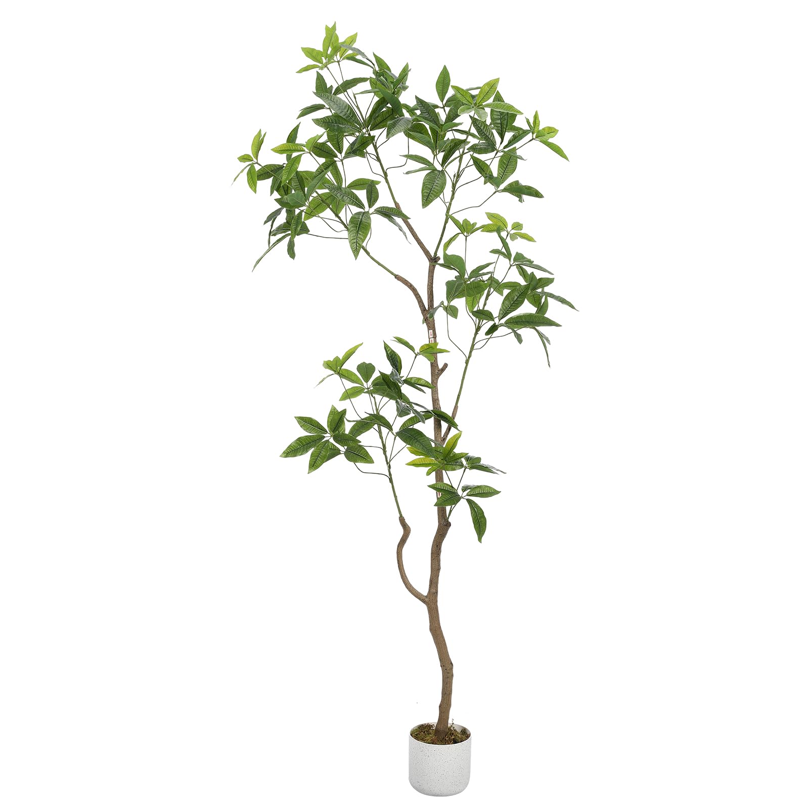 Arbre artificiel Schefflera Garvee de 1,98 m (6,5 pi) avec feuilles et tronc réalistes, idéal pour le salon et le bureau. Facile d'entretien, durable, pré-planté et vert.