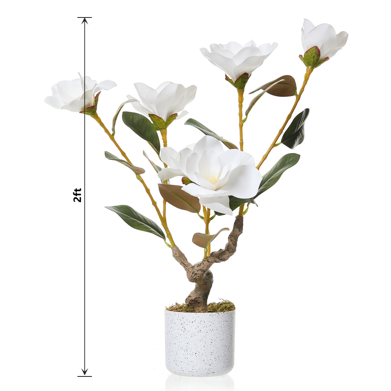 Ensemble de 2 magnolias artificiels Garvee de 61 cm (24 pouces) avec pot blanc, idéal pour la maison et le bureau. Facile d'entretien, stable et réaliste.