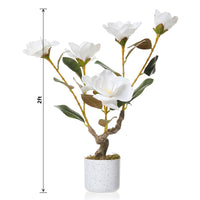 Ensemble de 2 magnolias artificiels Garvee de 61 cm (24 pouces) avec pot blanc, idéal pour la maison et le bureau. Facile d'entretien, stable et réaliste.