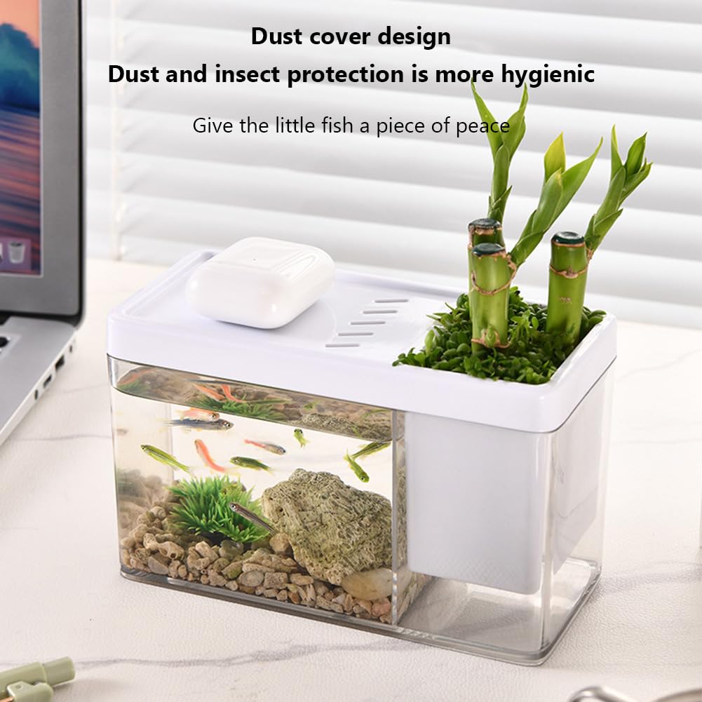 Kit de démarrage pour aquarium Garvee, petit aquarium avec trous d'aération, couleur crème, idéal pour bureau, salon ou appartement.