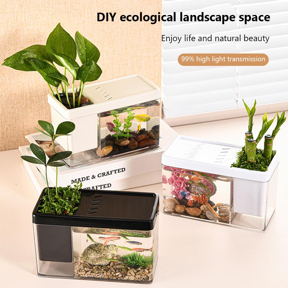 Kits de démarrage pour aquarium Garvee avec trous d'aération pour bureau, salon, appartement, petite taille, noir, sans lapins