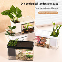 Kits de démarrage pour aquarium Garvee avec trous d'aération pour bureau, salon, appartement, petite taille, noir, sans lapins