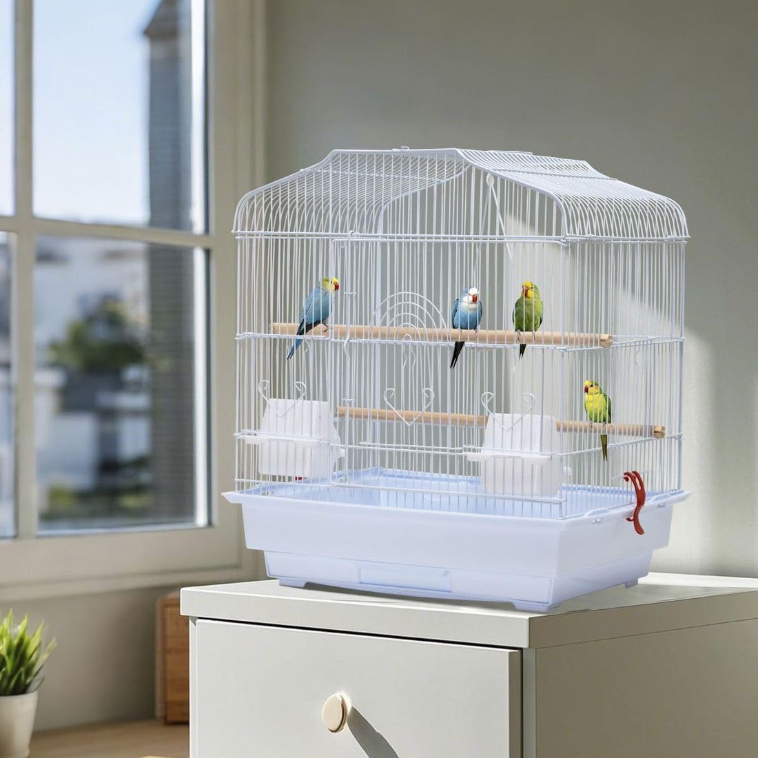 Cage de transport Garvee pour petits oiseaux avec structure métallique, portable, facile à nettoyer, pour canaris et perruches ondulées