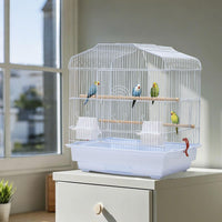 Cage de transport Garvee pour petits oiseaux avec structure métallique, portable, facile à nettoyer, pour canaris et perruches ondulées