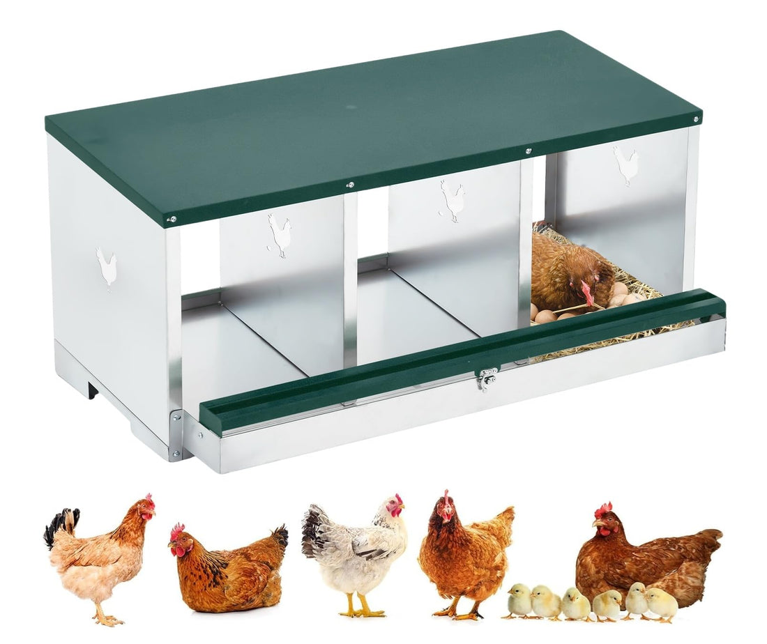 Garvee Pondoir pour Poules à 3 Compartiments, Acier Galvanisé, Grandes Ouvertures de Ventilation, Sécurisé, pour Poulailler, Vert