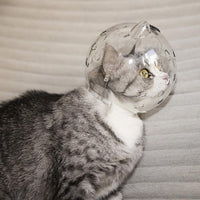 Casque transparent pour chat GARVEE avec fonction de protection, respirant, léger en PET pour la convalescence et les soins, transparent et confortable
