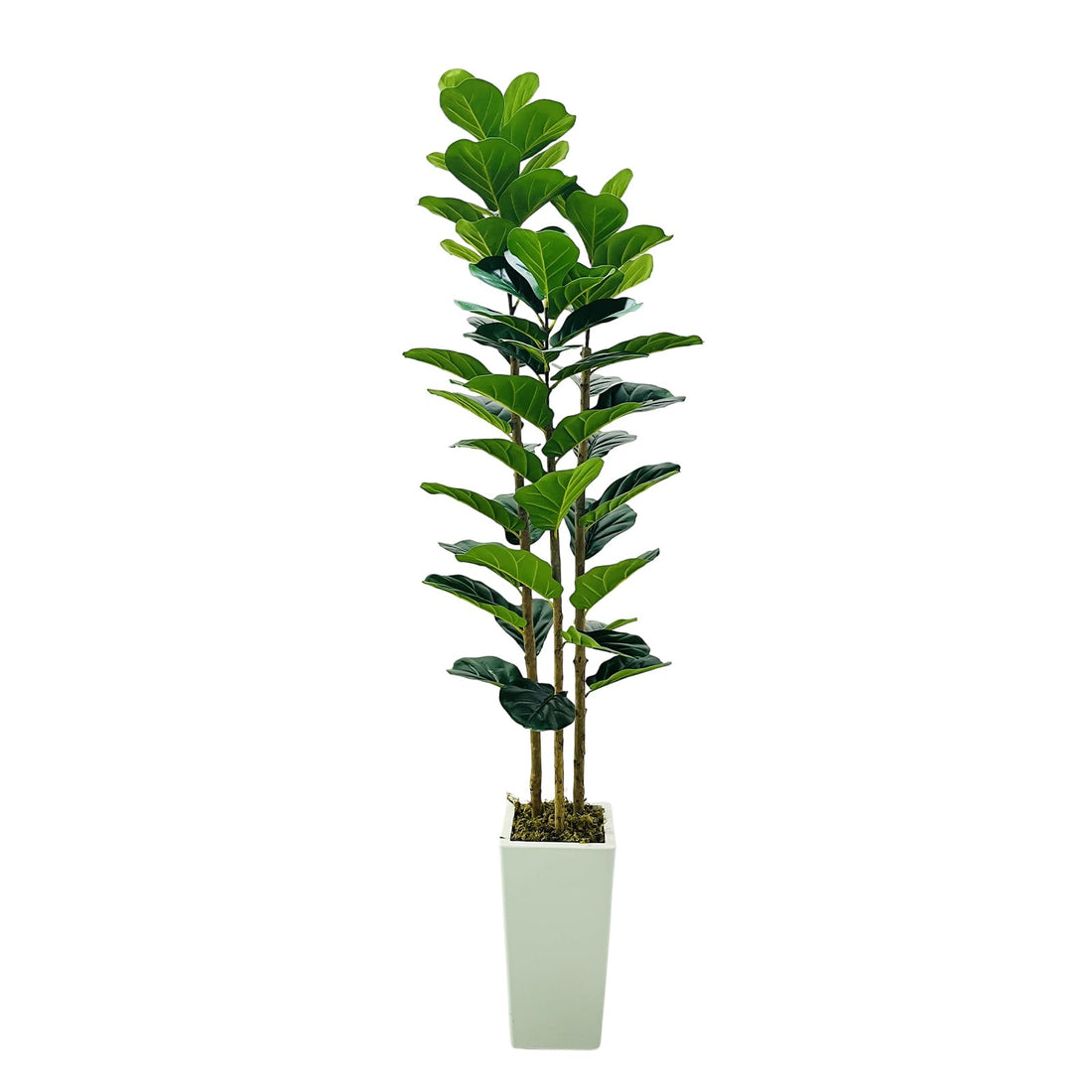Arbre artificiel d'intérieur Garvee de 1,8 m (6 pi) réaliste, sans entretien, polyvalent et durable, vert