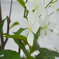 Jasmin artificiel Garvee de 1,5 m, feuillage pleureur, aspect soie blanc réaliste, avec pot, idéal pour le salon ou le bureau.