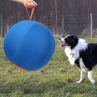 Balle de berger Garvee 45 cm pour chiens, grand jouet avec pompe à air, robuste, entraînement en extérieur, bleue, pour écuries