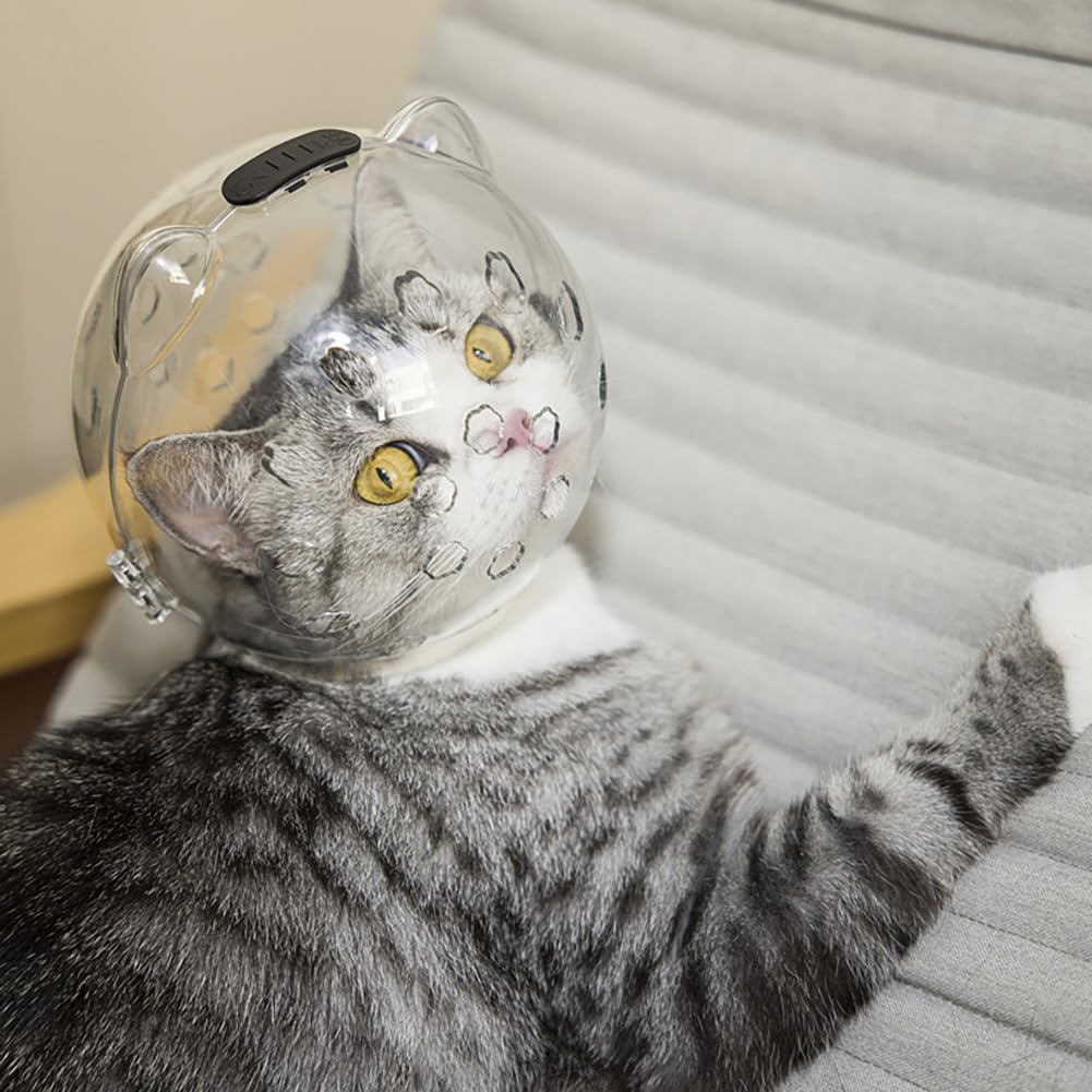 Casque transparent pour chat GARVEE avec fonction de protection, respirant, léger en PET pour la convalescence et les soins, transparent et confortable