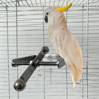 GARVEE Jouet à mâcher pour perroquets, perchoir suspendu en acier inoxydable, accessoire de cage interactif, tailles moyenne et grande.