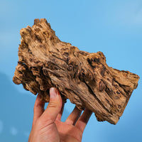 Grotte de ponte naturelle en tronc d'arbre, idéale pour les lézards, les tortues et les crevettes.
