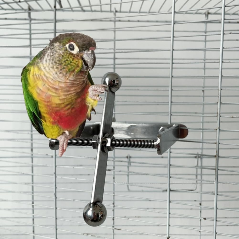 GARVEE Jouet à mâcher pour perroquets, perchoir suspendu en acier inoxydable, accessoire de cage interactif, tailles moyenne et grande.