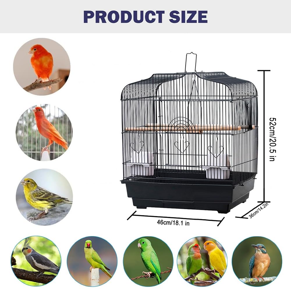 Cage de transport Garvee pour petits oiseaux avec structure métallique, plateau de fond amovible, portable, pour canaris et perruches, compacte, transparente