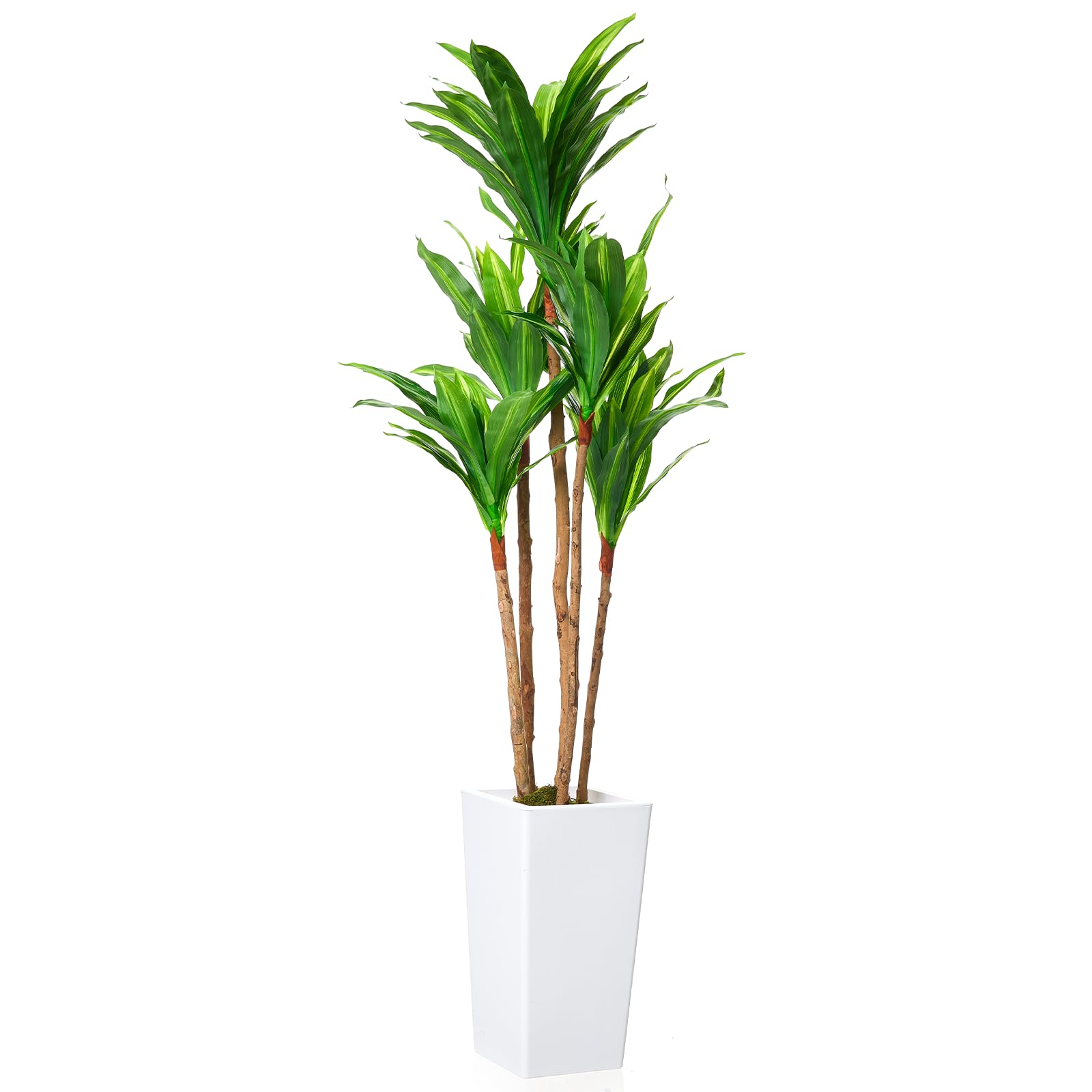 Arbre dracaena artificiel Garvee de 1,46 m (4,8 pi) avec pot en ciment robuste pour usage intérieur et extérieur, blanc, grand pot