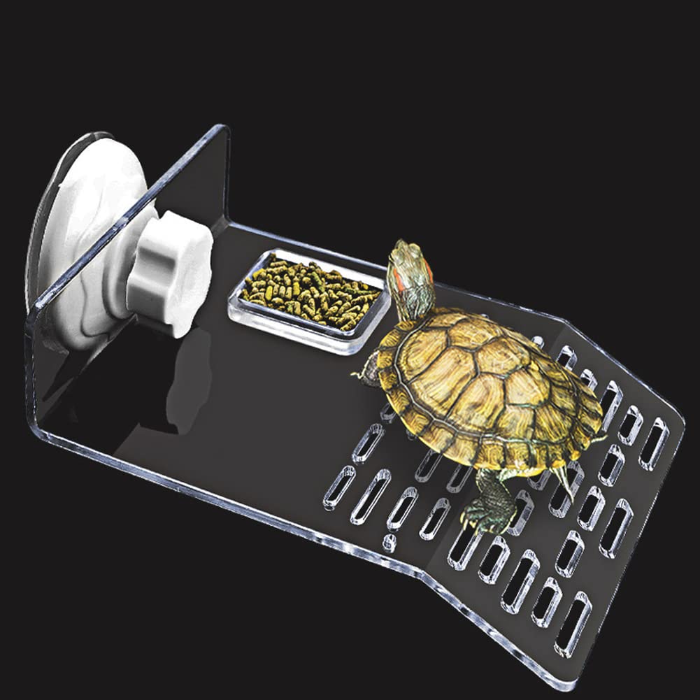 Plateforme de bronzage pour grande tortue Garvee avec 2 ventouses pour aquarium, blanche
