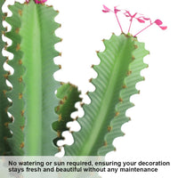 Cactus artificiel Garvee de 90 cm (3 pieds), design réaliste, en plastique vert, pour une utilisation intérieure et extérieure.