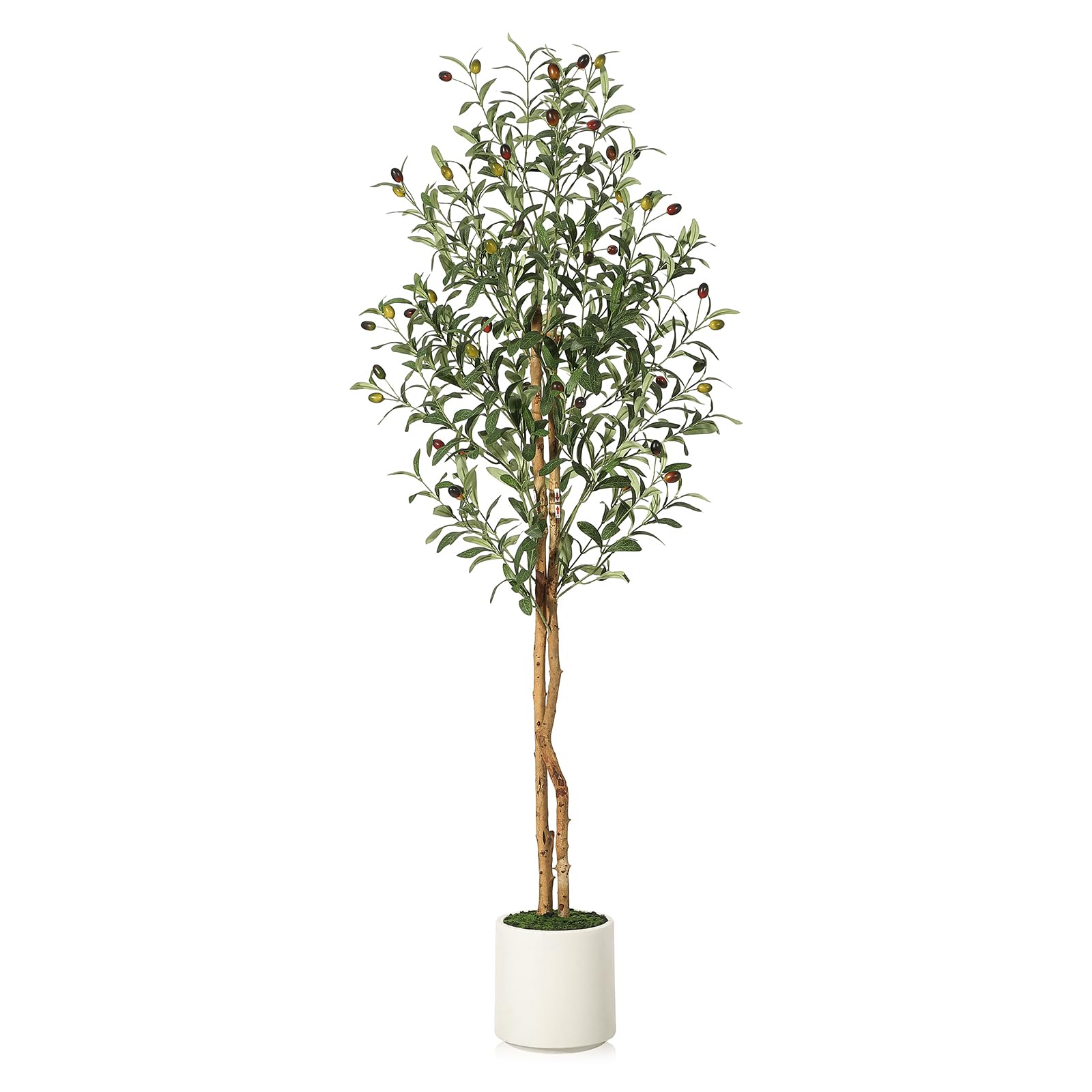 Olivier artificiel Garvee de 1,5 m avec 2 troncs en bois et pot en ciment blanc, idéal pour la décoration du salon et du bureau. Branches ajustables, 864 feuilles en soie.