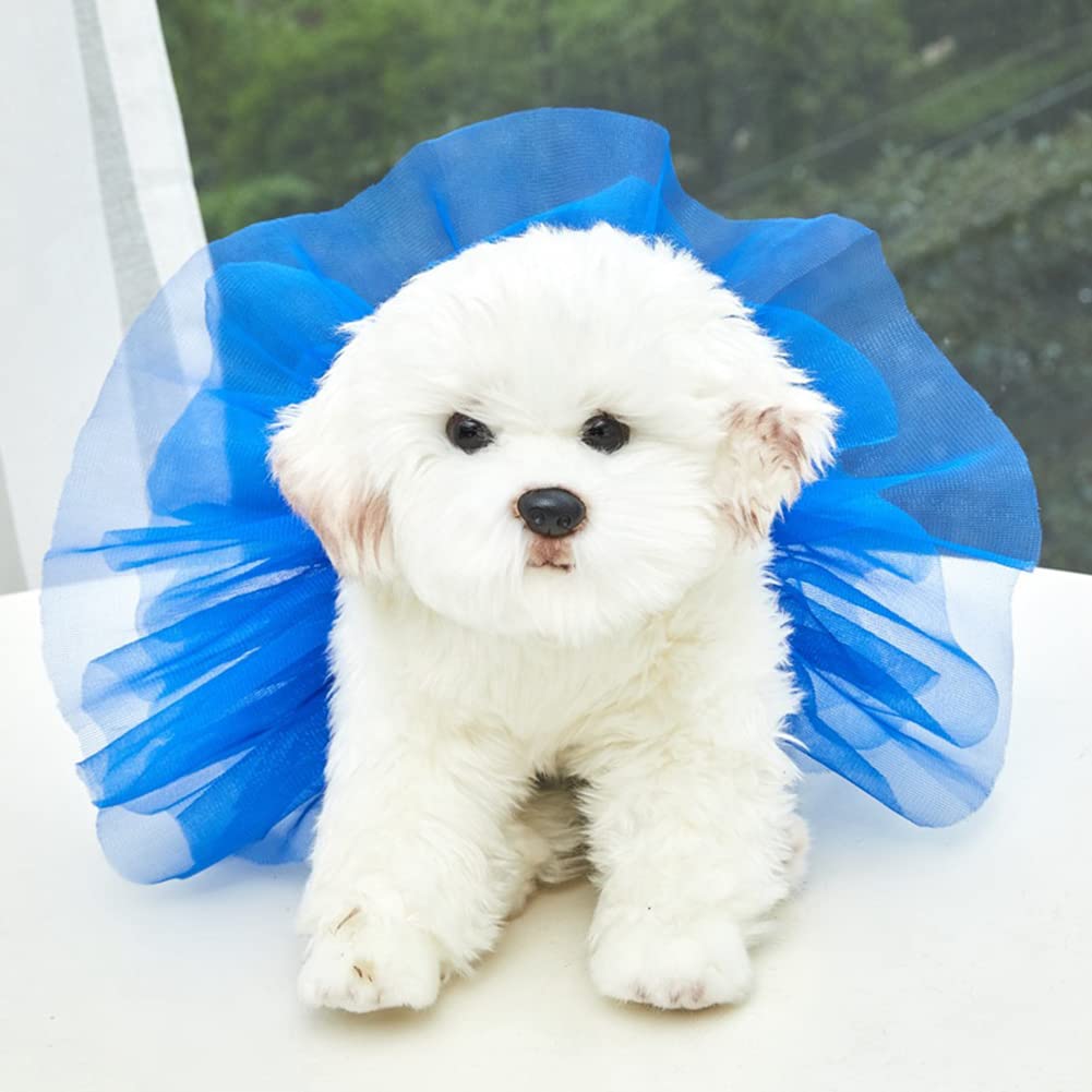 Robe tutu colorée Garvee pour chiens et chats, déguisement d'anniversaire, rose rouge, tailles S à L, matière douce et respirante