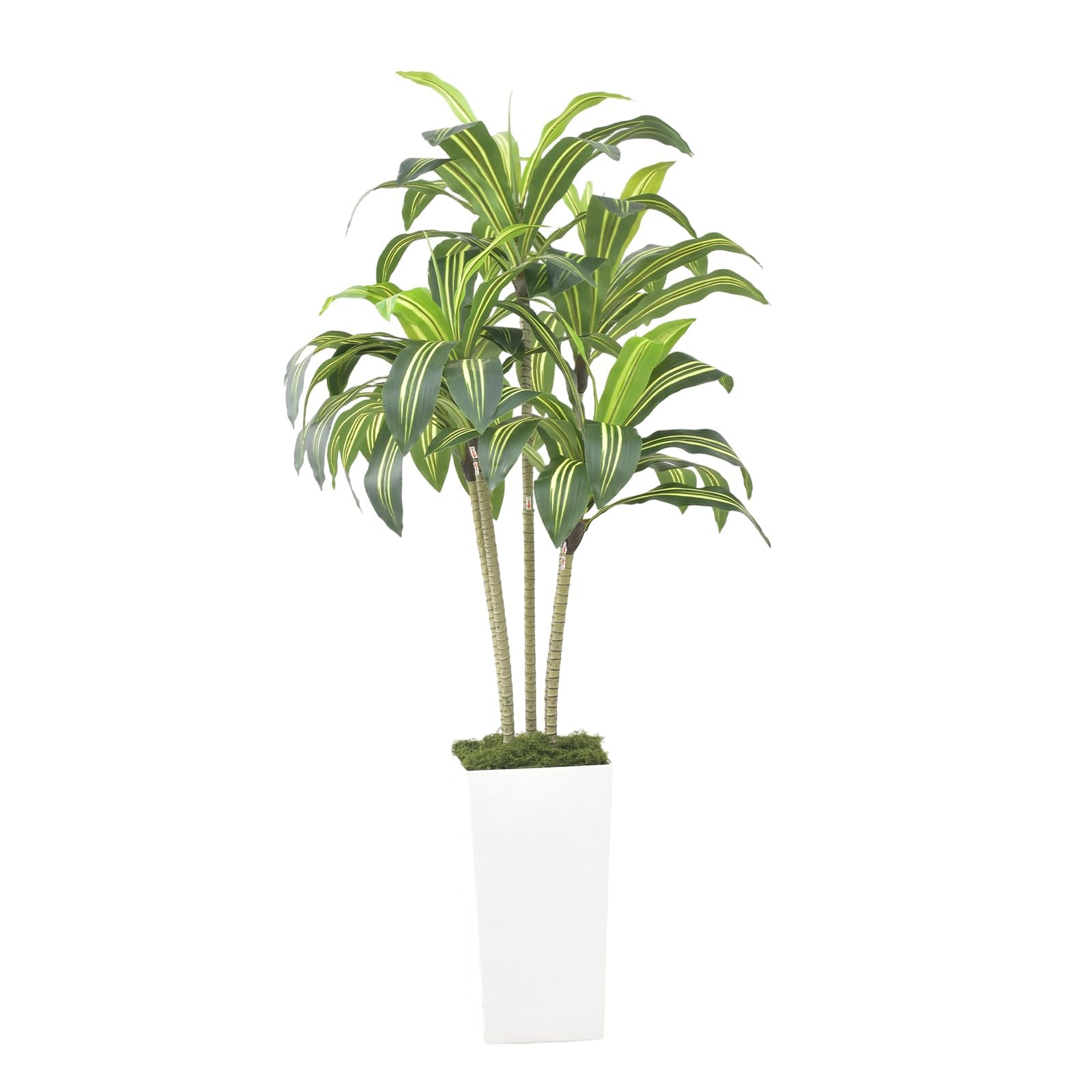 Arbre dragon artificiel Garvee de 120 cm avec pot de fleurs blanc pour salon, balcon ou bureau, plante tropicale en plastique réaliste