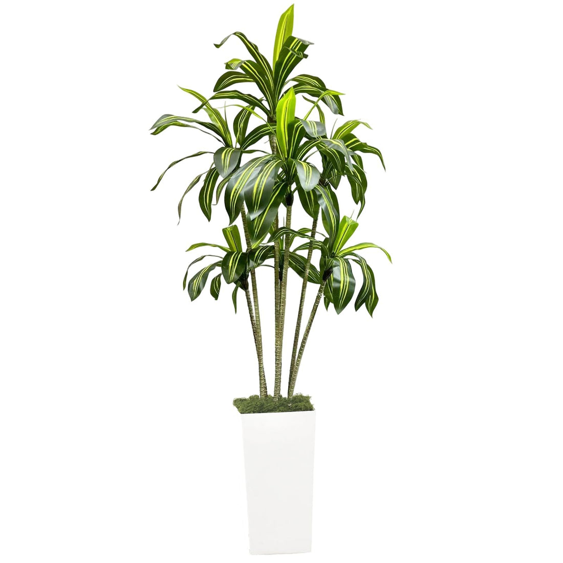 Arbre dragon artificiel Garvee de 180 cm avec pot de fleurs blanc pour salon, balcon ou bureau. Plante tropicale en plastique, réaliste et ajustable.
