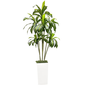Arbre dragon artificiel Garvee de 180 cm avec pot de fleurs blanc pour salon, balcon ou bureau. Plante tropicale en plastique, réaliste et ajustable.