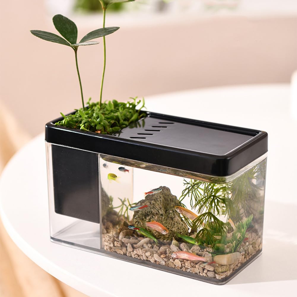 Kits de démarrage pour aquarium Garvee avec trous d'aération pour bureau, salon, appartement, petite taille, noir, sans lapins