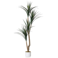 Arbre dracaena artificiel Garvee pour intérieur avec pot blanc, idéal pour un salon moderne. Facile d'entretien, durable et hypoallergénique.